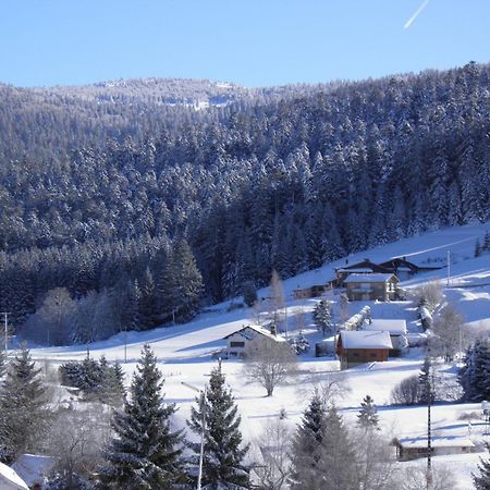 Chalet Renove Proche Du Valtin - Ideal Pour Famille, Randonnees Et Ski, Wifi, Luges Fournies - Fr-1-589-150 Ban-sur-Meurthe-Clefcy Bagian luar foto