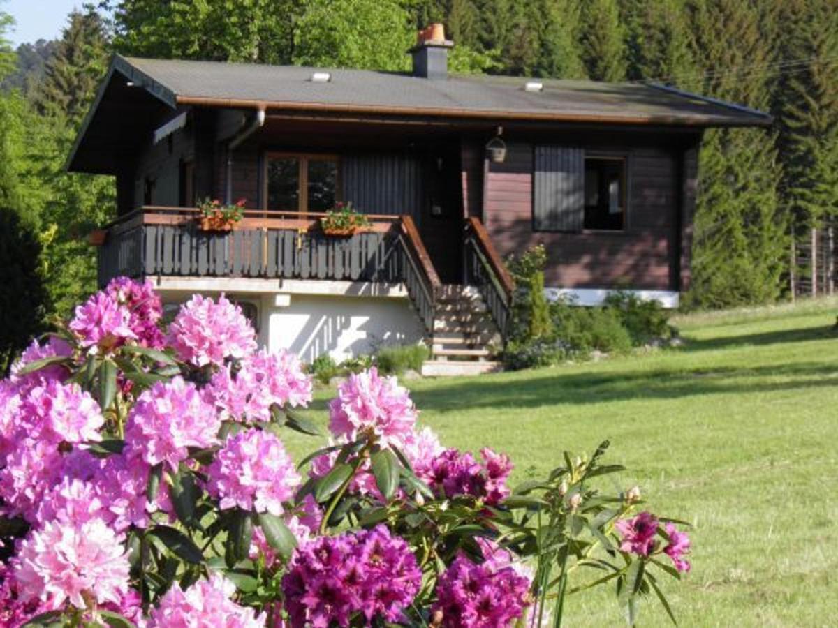 Chalet Renove Proche Du Valtin - Ideal Pour Famille, Randonnees Et Ski, Wifi, Luges Fournies - Fr-1-589-150 Ban-sur-Meurthe-Clefcy Bagian luar foto